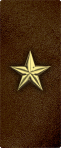 Star Gold-Brown